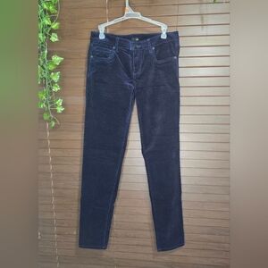 Edyson Hampton Skinny Cobalt Blue Velvet Mid-rise Women's Pants Size 29L